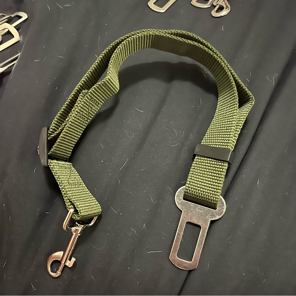 PET SEATBELT
